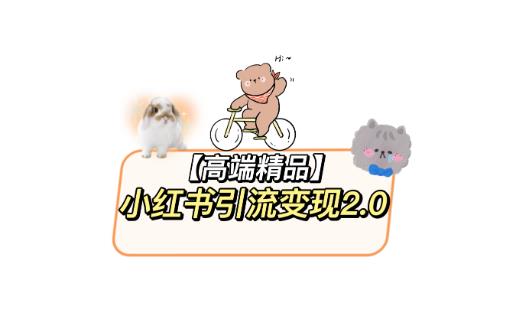 小红书最新引流变现教程，全网最新最详细的视频教程以及素材-生财有道
