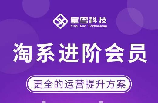 星雪·淘系进阶课程，快速提升突破技能流量瓶颈必备（更新2023年5月）-生财有道