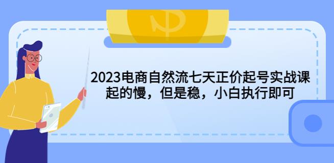2023电商自然流七天正价起号实战课：起的慢，但是稳，小白执行即可！-生财有道