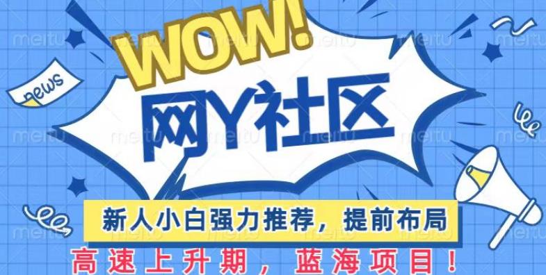有道词典WOW社区项目，新人小白强力推荐，提前布局，高速上升期，蓝海项目【揭秘】-生财有道