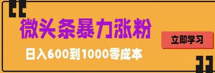 微头条暴力涨粉技巧搬运文案就能涨几万粉丝，简单0成本，日赚600【揭秘】-生财有道