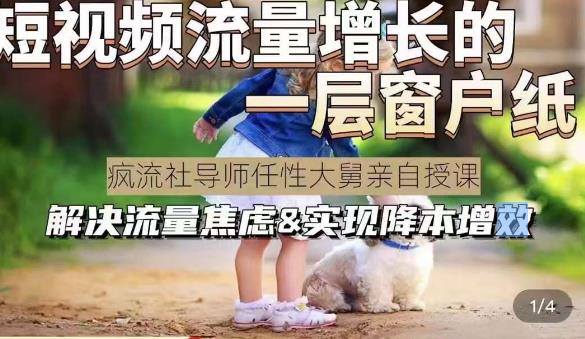 任性大舅·宠物行业短视频运营课(不讲废话)，短视频流量增长的一层窗户纸，解决流量焦虑&实现降本增效-生财有道