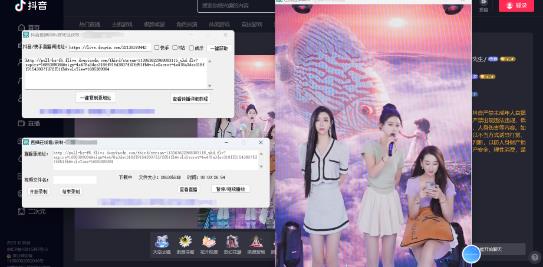 最新电脑版抖音/快手/B站直播源获取+直播间实时录制+直播转播软件【全套软件+详细教程】-生财有道
