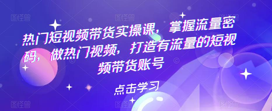 热门短视频带货实操课，掌握流量密码，做热门视频，打造有流量的短视频带货账号-生财有道