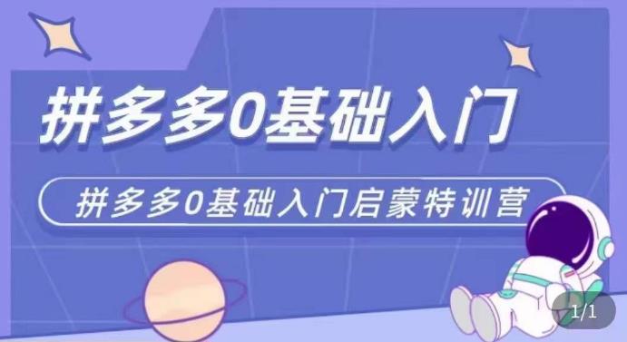 拼多多运营0-1实操特训营，拼多多0基础入门，从基础到进阶的可实操玩法-生财有道