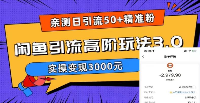 亲测日引50+精准粉，闲鱼引流高阶玩法3.0，实操变现3000元【揭秘】-生财有道