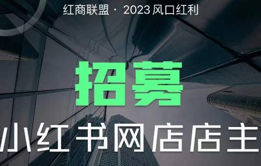 红商联盟·小红书无货源电商1.0，0粉丝无需囤货，小白也可以轻松上手的无货源项目-生财有道