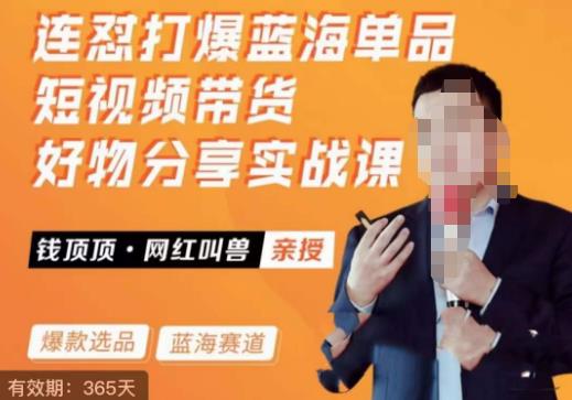 网红叫兽·连怼打爆蓝海单品，短视频带货好物分享实战课-生财有道