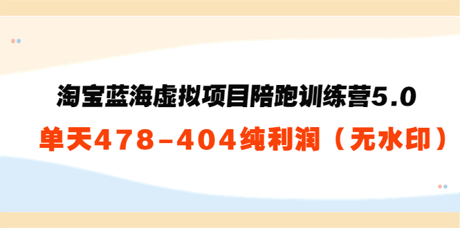 淘宝蓝海虚拟项目陪跑训练营5.0：单天478纯利润-生财有道