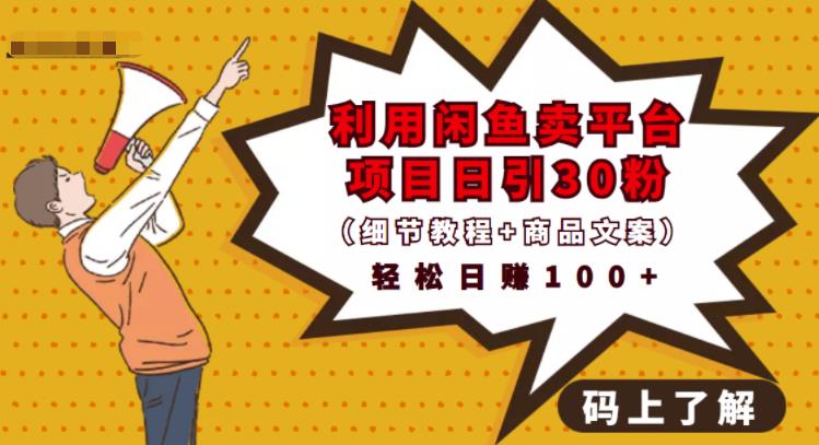 利用闲鱼卖平台项目课程资源日引流30+精准粉丝，轻松日赚100+，积累人脉可实现二次变-生财有道