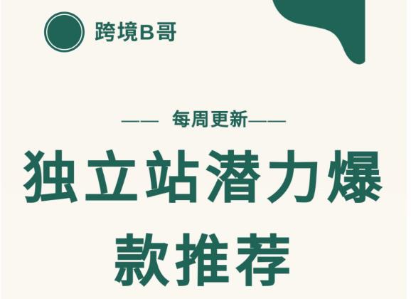 【跨境B哥】独立站潜力爆款选品推荐，测款出单率高达百分之80-生财有道
