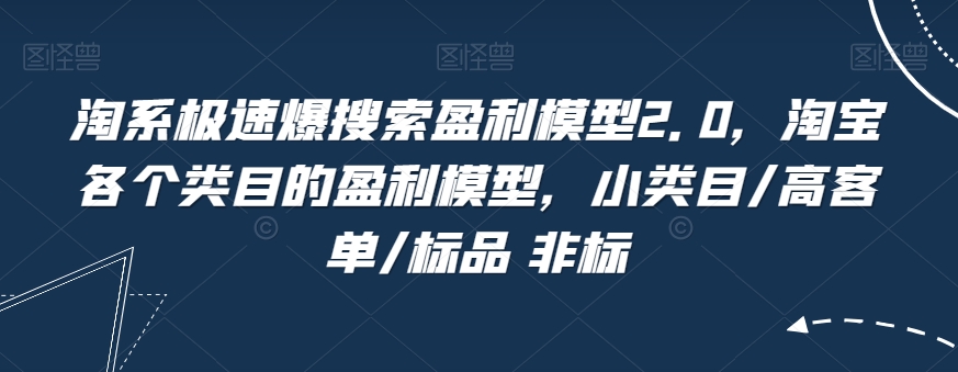 淘系极速爆搜索盈利模型2.0，淘宝各个类目的盈利模型，小类目/高客单/标品 非标-生财有道