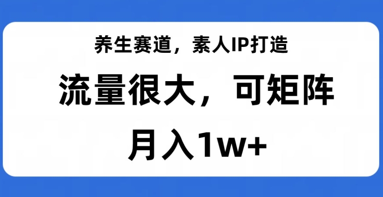 养生赛道，素人IP打造，流量很大，可矩阵，月入1w+【揭秘】-生财有道