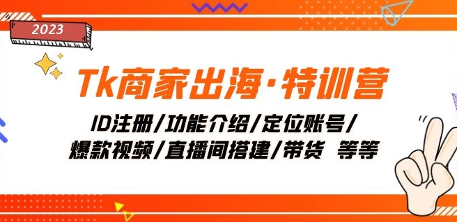 Tk商家出海·特训营：ID注册/功能介绍/定位账号/爆款视频/直播间搭建/带货-生财有道