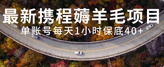 （7995期）最新携程薅羊毛项目，单账号每天1小时保底收益40+，可矩阵操作-生财有道