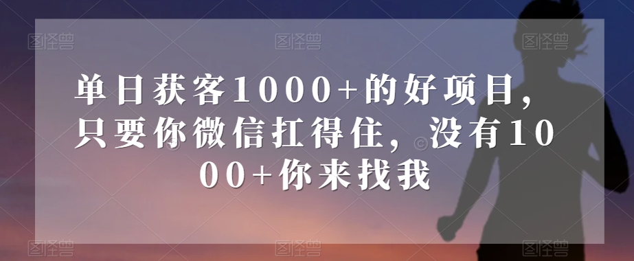 单日获客1000+的好项目，只要你微信扛得住，没有1000+你来找我【揭秘】-生财有道
