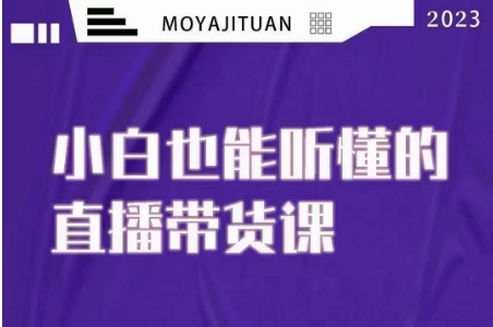大威本威·能听懂的直播带货课，小白也能听懂，20节完整-生财有道