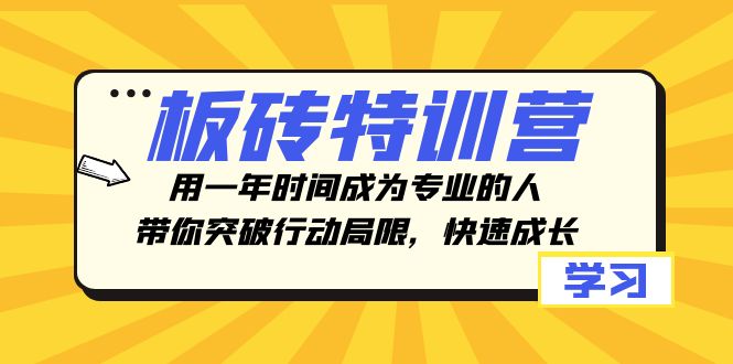 （8048期）板砖特训营，用一年时间成为专业的人，带你突破行动局限，快速成长-生财有道