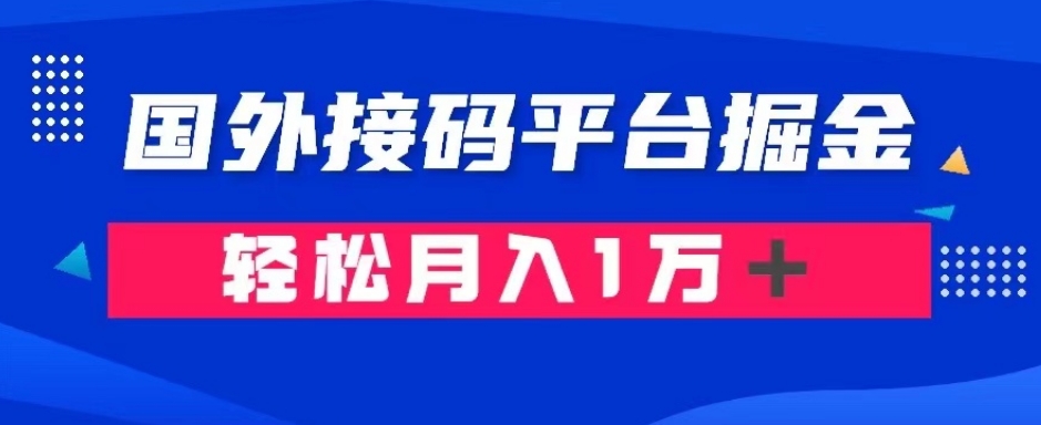 通过国外接码平台掘金：成本1.3，利润10＋，轻松月入1万＋【揭秘】-生财有道