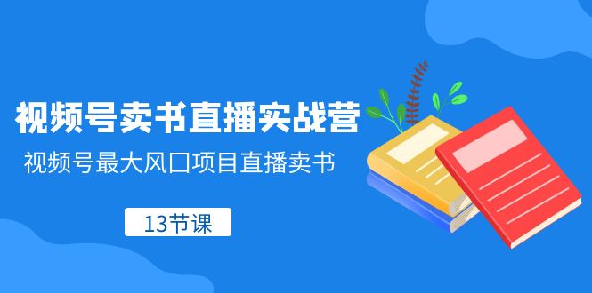 视频号卖书直播实战营，视频号最大风囗项目直播卖书（13节课）-生财有道