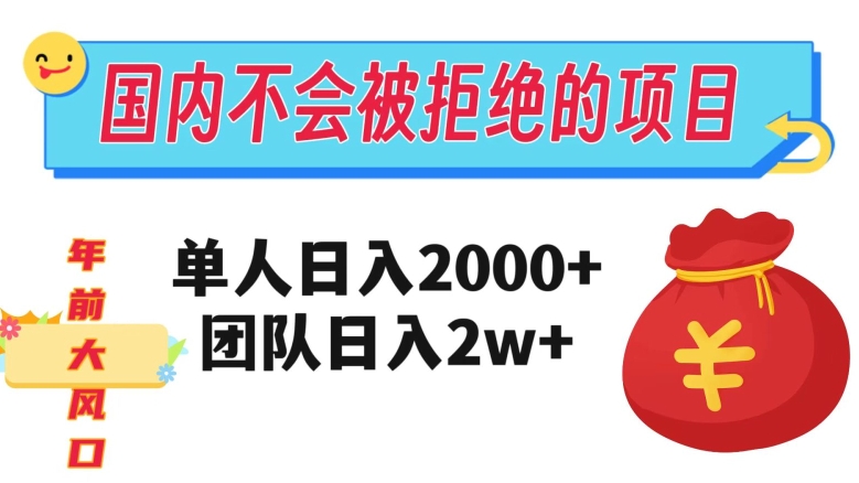 在国内不怕被拒绝的项目，单人日入2000，团队日入20000+【揭秘】-生财有道