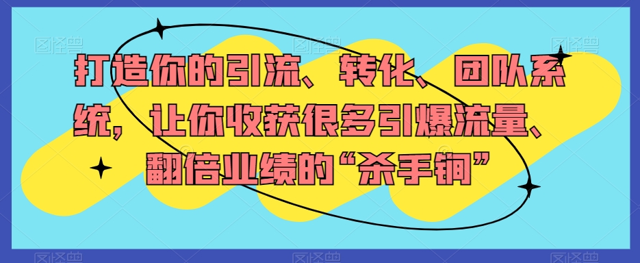 打造你的引流、转化、团队系统，让你收获很多引爆流量、翻倍业绩的“杀手锏”-生财有道