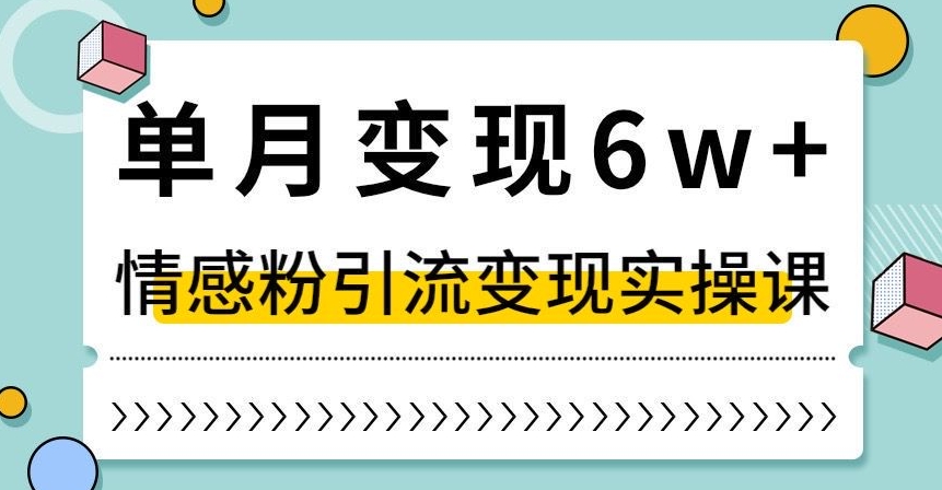 单月变现6W+，抖音情感粉引流变现实操课，小白可做，轻松上手，独家赛道【揭秘】-生财有道
