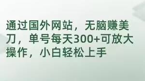 通过国外网站，无脑赚美刀，单号每天300+可放大操作，小白轻松上手【揭秘】-生财有道