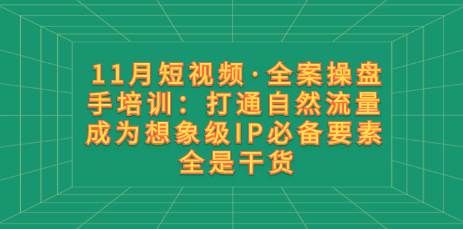 （8182期）11月短视频·全案操盘手培训：打通自然流量 成为想象级IP必备要素 全是干货-生财有道