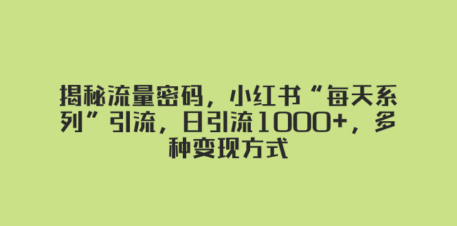 （8179期）揭秘流量密码，小红书“每天系列”引流，日引流1000+，多种变现方式-生财有道