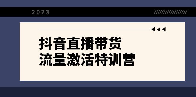 （8185期）抖音直播带货-流量激活特训营，入行新手小白主播必学（21节课+资料）-生财有道