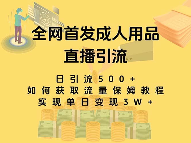 （8193期）最新全网独创首发，成人用品直播引流获客暴力玩法，单日变现3w保姆级教程-生财有道