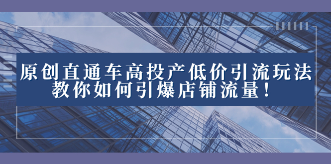 （8197期）2023直通车高投产低价引流玩法，教你如何引爆店铺流量！-生财有道