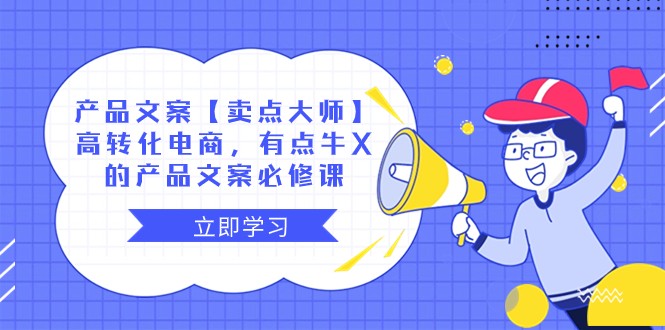 产品文案【卖点大师】高转化电商，有点牛X的 产品文案必修课-生财有道