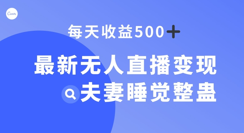 最新无人直播变现，夫妻睡觉整蛊，每天躺赚500+【揭秘】-生财有道