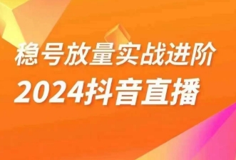 稳号放量实战进阶—2024抖音直播，直播间精细化运营的几大步骤-生财有道