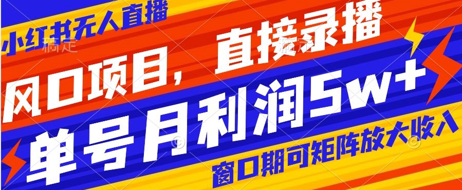 风口项目，小红书无人直播带货，直接录播，可矩阵，月入5w+【揭秘】-生财有道