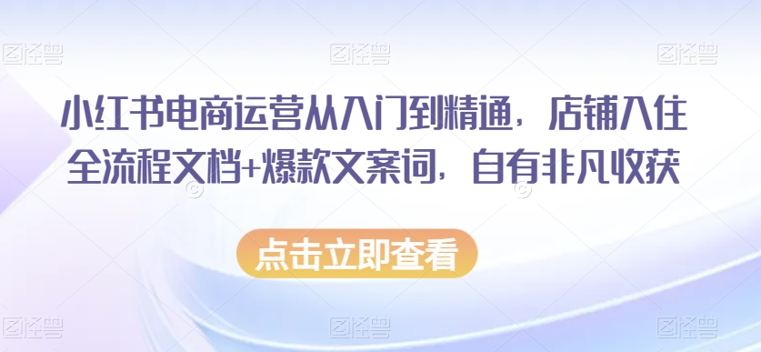 小红书电商运营从入门到精通，店铺入住全流程文档+爆款文案词，自有非凡收获-生财有道