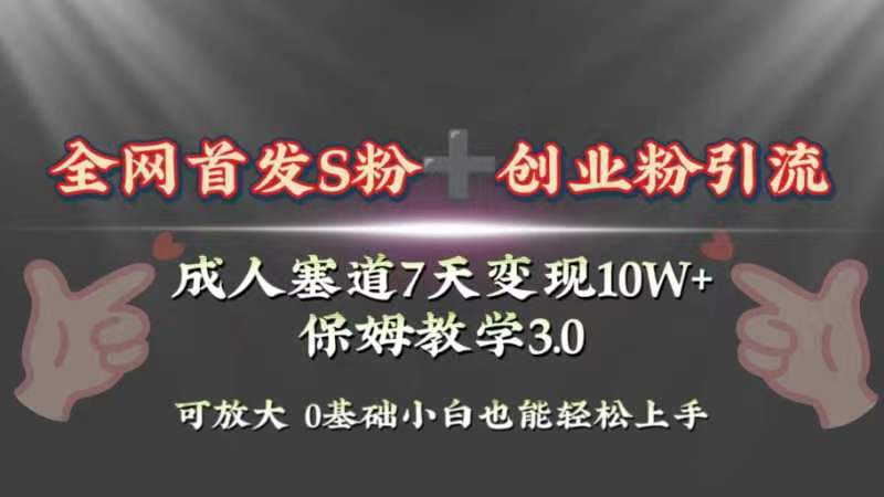 （8337期）全网首发s粉加创业粉引流变现，成人用品赛道7天变现10w+保姆教学3.0-生财有道