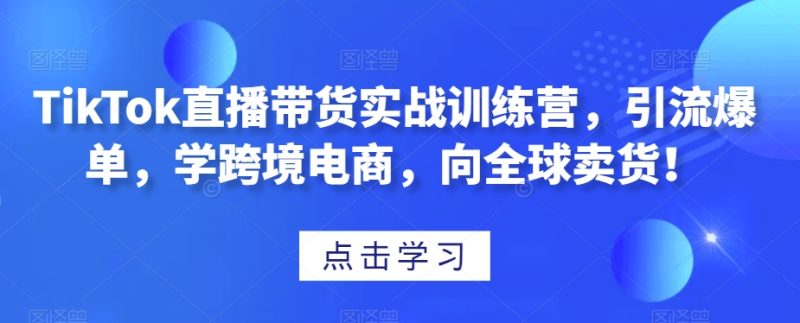 TikTok直播带货实战训练营,引流爆单,学跨境电商,向全球卖货!-生财有道