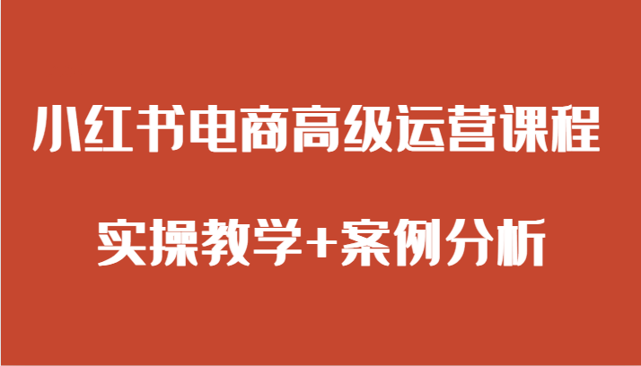 小红书电商高级运营课程 实操教学+案例分析-生财有道