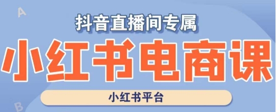 小红书电商高级运营课程，实操教学+案例分析-生财有道