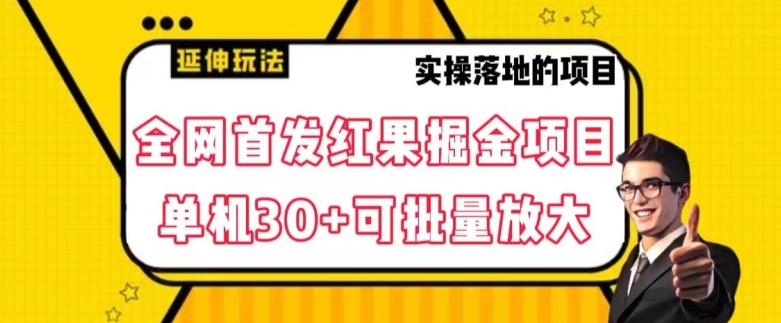 全网首发红果免费短剧掘金项目，单机30+可批量放大【揭秘】-生财有道