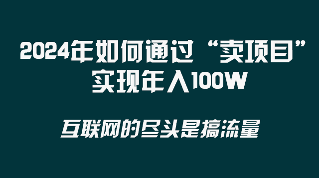 （8382期） 2024年如何通过“卖项目”实现年入100W-生财有道