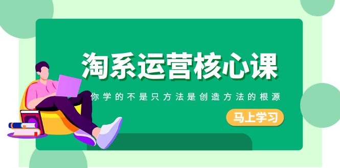 （8392期）淘系-运营核心课，你学的不是只方法是创造方法的根源（190节课）-生财有道