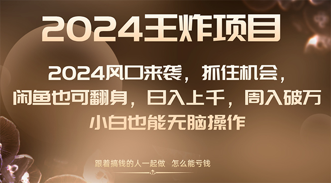 （8401期）2024风口项目来袭，抓住机会，闲鱼也可翻身，日入上千，周入破万，小白…-生财有道