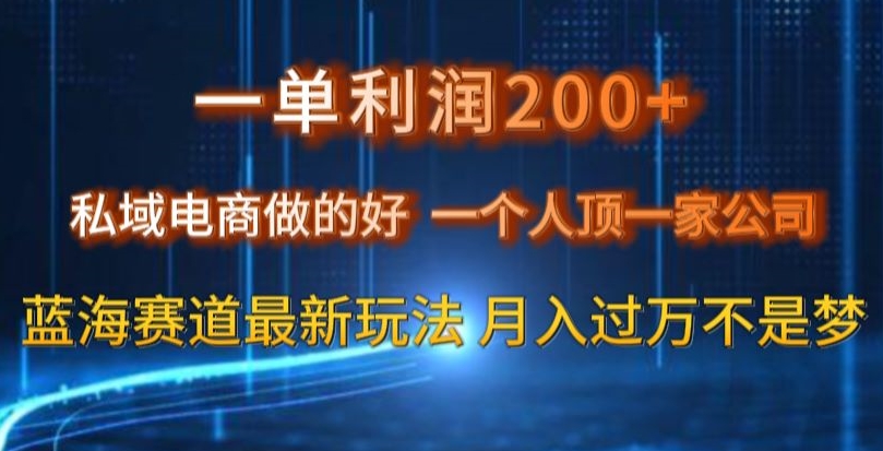 一单利润200私域电商做的好，一个人顶一家公司蓝海赛道最新玩法【揭秘】-生财有道