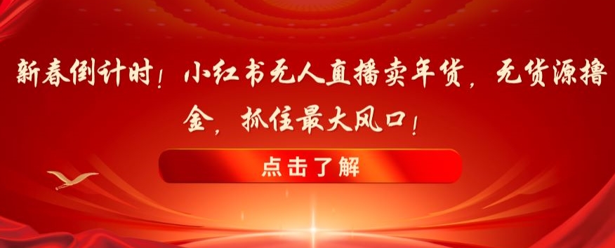 新春倒计时！小红书无人直播卖年货，无货源撸金，抓住最大风口【揭秘】-生财有道