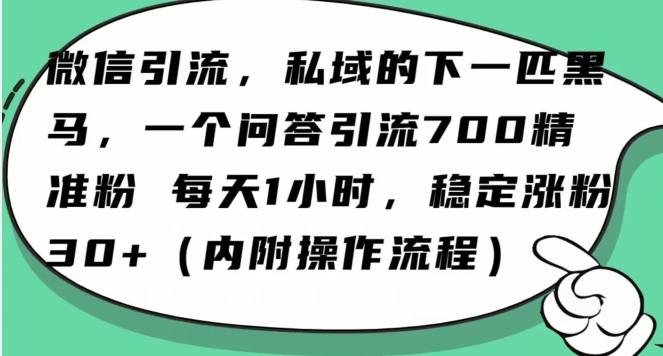 怎么搞精准创业粉？微信新赛道，每天一小时，利用Ai一个问答日引100精准粉-生财有道