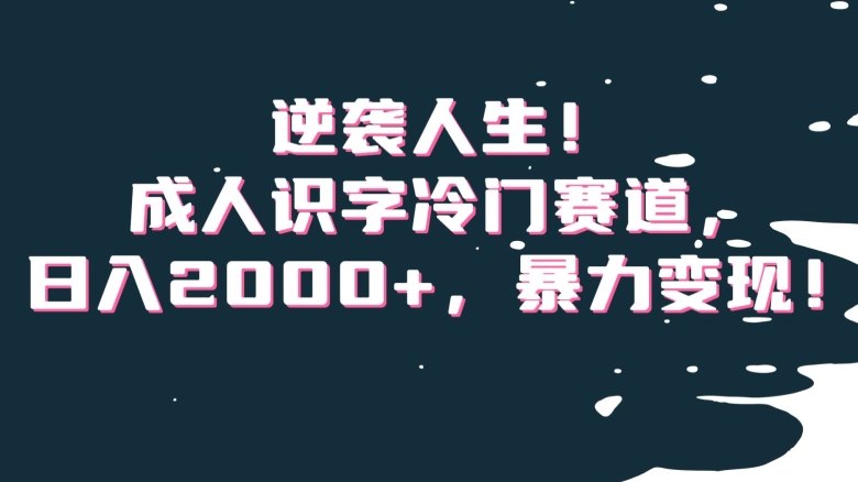 逆袭人生！成人识字冷门赛道，日入2000+，暴力变现！【揭秘】-生财有道